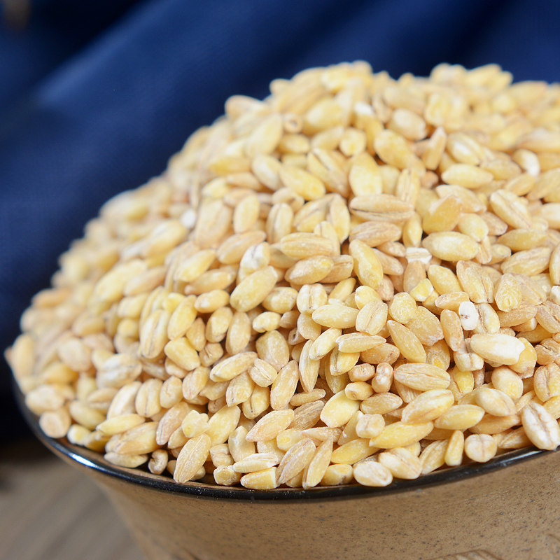 打粮趣 大麦仁 大麦 去皮麦仁 大麦米粗粮杂粮粥五谷杂粮 500g