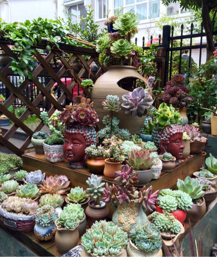 入了肉坑后的几个通病,来看看你中了几个?