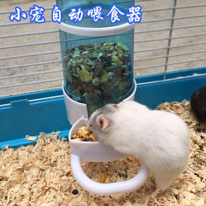 spanclass=h>用品/span>鹦鹉仓鼠熊刺猬迷你鸟类松鼠spanclass=h灰头金丝寿图片