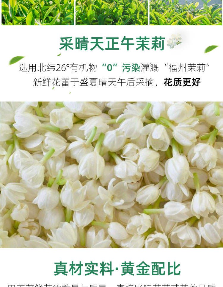 【首单+签到】茉莉花茶正宗大白毫鲜花100g