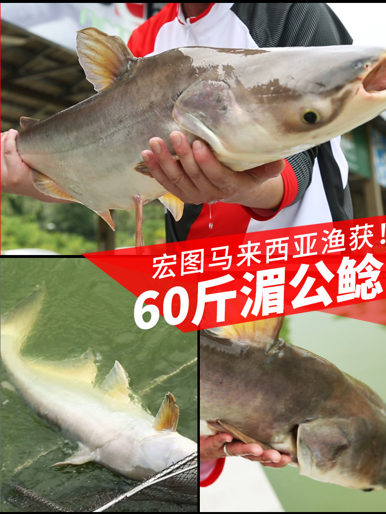 удочка Shuangbao 28 19 Shuangbao удочка Shuangbao 28 19 Shuangbao