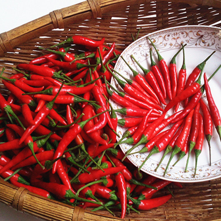 超辣的云南新鲜小米辣 100克 红辣椒野山椒朝天椒 可制泡椒