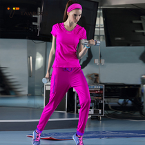 Large size sports suit womens summer gym yoga suit Quick-drying short-sleeved trousers running two-piece set tide fat mm