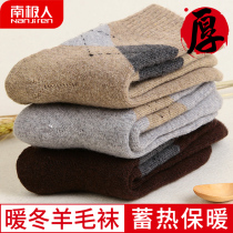 Socks mens winter middle cylinder cotton socks mens towels plus suede thickened stockings winter ultra-thick autumn and winter woolen collar male socks