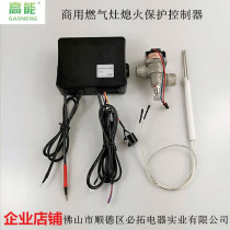 Y4 Type Source Manufacturer Kitchen Gas Oven Accidental Flameout Guan Gas Protection National Standard Safety Powerful Ignition Controller