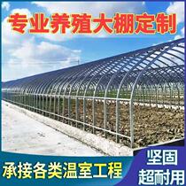 Greenhouse skeleton elliptical pipe continuous greenhouse steel pipe vegetable breeding warm winter and cool agriculture full set of accessories
