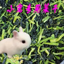 Dehydrated green vegetables Dry vegetables Dry quality High fiber No salt Rabbit Hamster Dragon Cat Guinea Pig snacks 50g