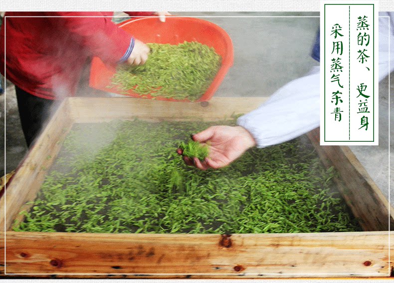 峡谷沙龙2018明前春茶 恩施玉露 蒸青工艺手工绿茶礼盒装400g_9折现价