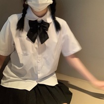 White jk short sleeve shirt female summer design feeling small crowd ancient port flavor Joker shirt small sweet clothes