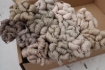 mango Temari ball plant dyed cotton thread plant dyed variegated 23m