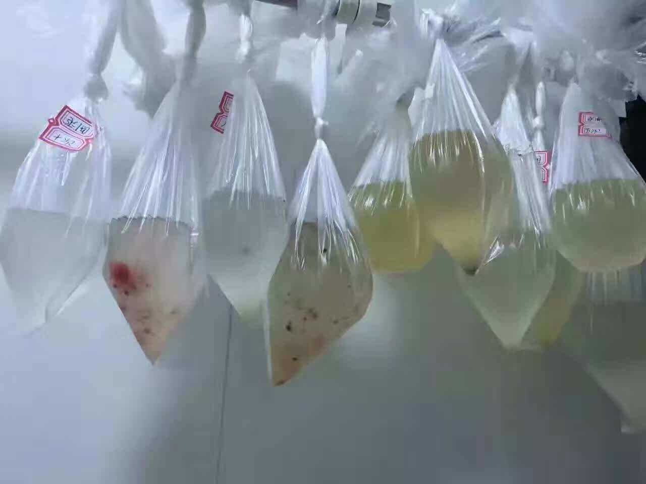 正品远红外沙棘排湿排毒排酸毯汗蒸袋减肥瘦身毯排酸睡袋太空毯