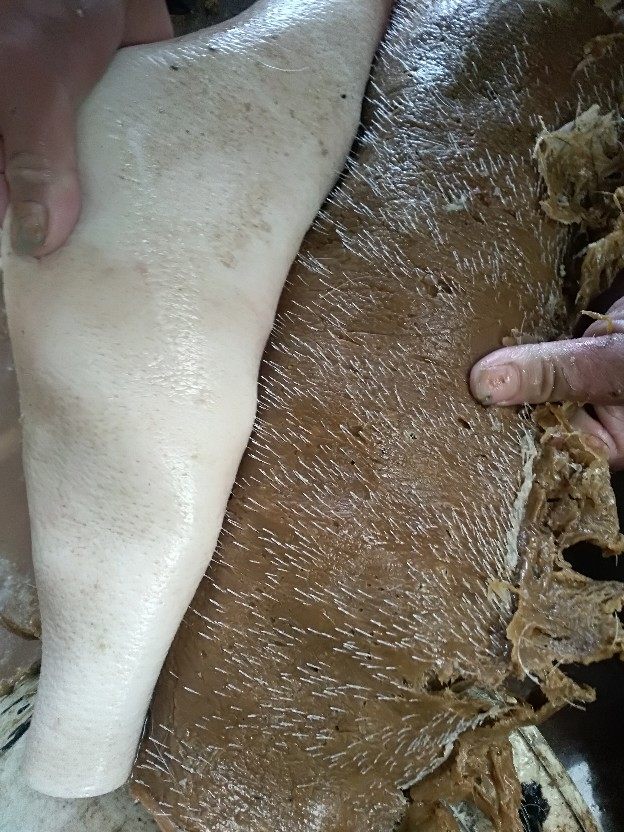 得力脱家禽脱毛蜡 耐用粘性强 猪头皮专用拔毛蜡 猪头脱毛拔毛蜡