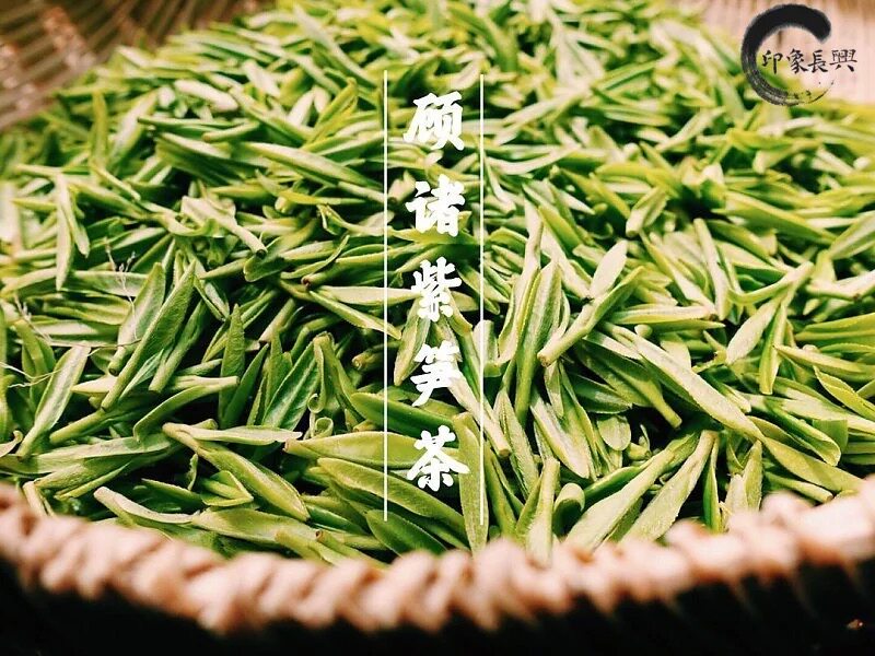 2017新茶 长兴特产顾渚紫笋茶 茶叶 250g 包邮