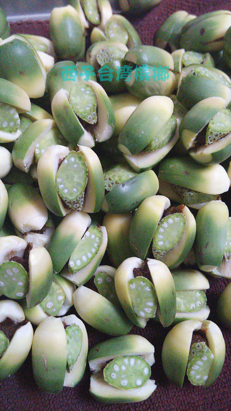 【西子台湾槟榔选用嘉义新鲜槟榔】
