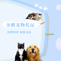 Harbins new universal pet shipping service air transport accompanying train accompanying individual transport of cats and dogs