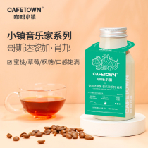 Coffee Town Costa Rica Musician Series Chopin Coffee Beans Boutique Canned Coffee Single Coffee