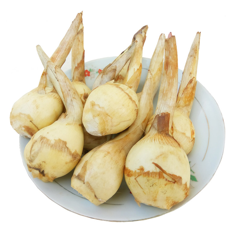 湖北特产天门农家茨菇 慈菇 白茨菇 燕尾慈菇 茨菰 马蹄白茨菇
