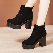 2021 autumn and winter New Martin boots female thick bottom waterproof table round head frosted lace-up high heel size short boots