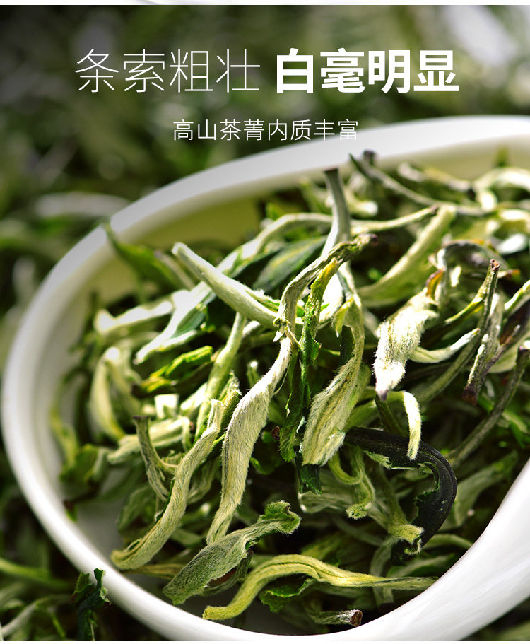 天福茗茶春韵早春绿茶茶叶春茶云南大叶种高山茶大铁罐装200g