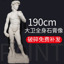 1 9 m full body David plaster plaster Avatar David Avatar education distribution studio decorative plaster portrait