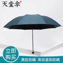 2019 New Paradise Umbrella Umbrella Black Gum Umbrella Folding Umbrella parasol Umbrella