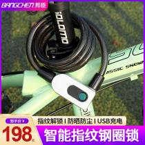 bang chen rims fingerprint lock bicycle electric car battery tou kui suo shan di che suo anti-theft lock motorcycle lock