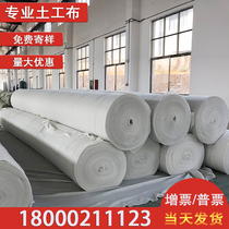 Water seepage geotextile engineering cloth water permeable moisturizing cement maintenance slope waterproof thermal insulation green road polyester filament