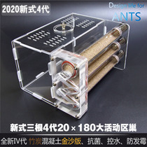 Pet ants new 4th generation three 20mm diameter bamboo nests Ant Workshop Villa bionic acrylic ant nest