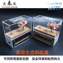 Qingchunfeng professional imitation ecological pet Ant concrete ant nest acrylic Villa Senior Queen herd pastoral workshop