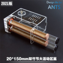 Two pet ants 20 * 180mm large activity area bamboo festival nest workshop Villa professional acrylic ant nest