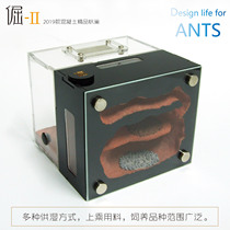 Pet Ant acrylic concrete bionic ant nest non-Ant Workshop Ant professional breeding nest