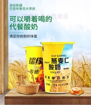 Xinjiang Bazhou Oat yogurt Breakfast yogurt Ruiyuan Oat kernel yogurt 170g*12 cups