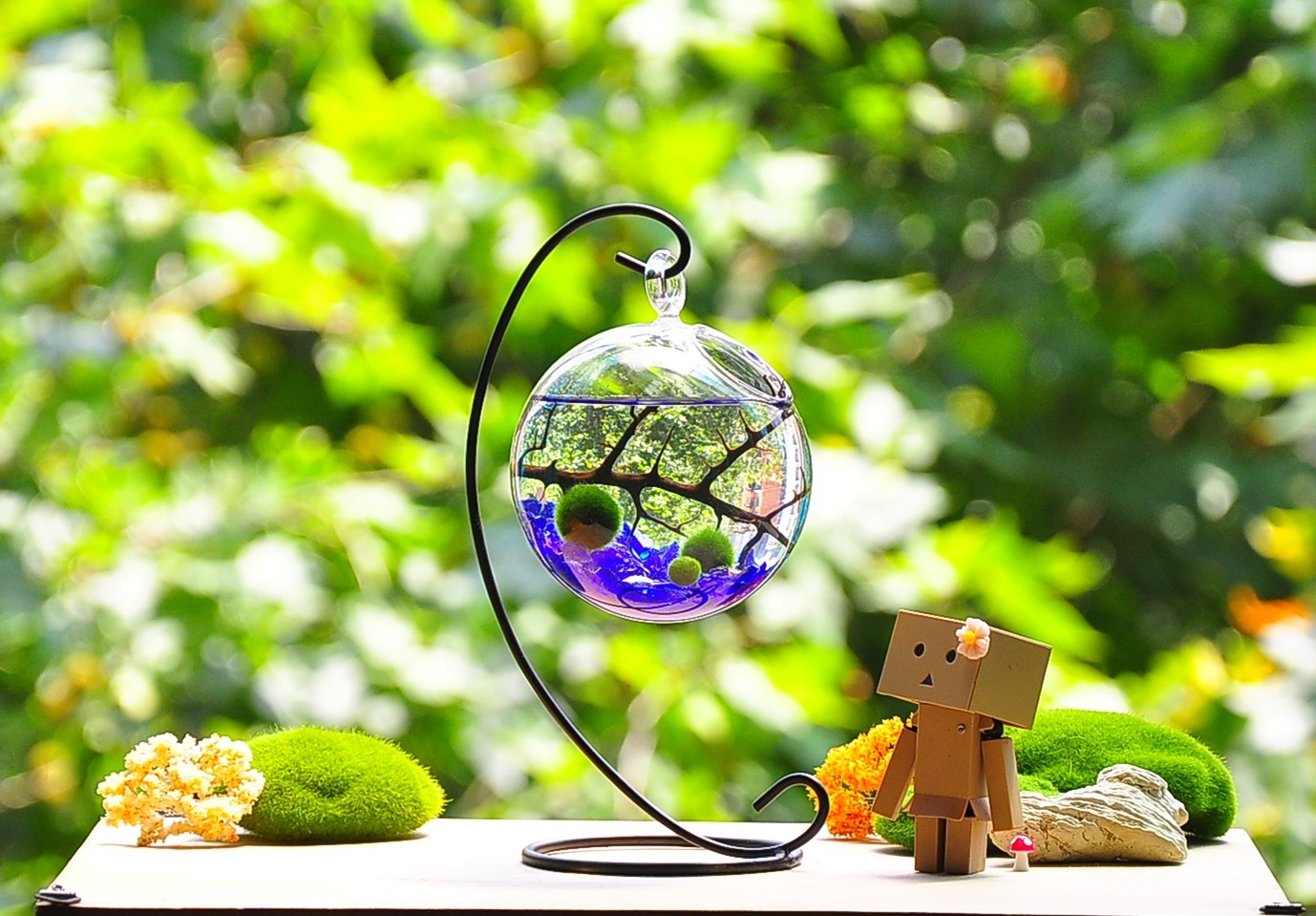 no.4— marimo幸福海藻球新奇植物