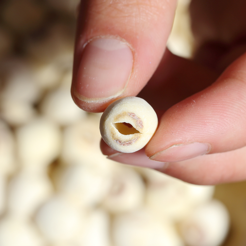 white lotus seeds 250g powder waxy soft white fungus lotus seed soup raw materials cored macaroni inch three lotus dermabrasion white lotus seeds dried goods