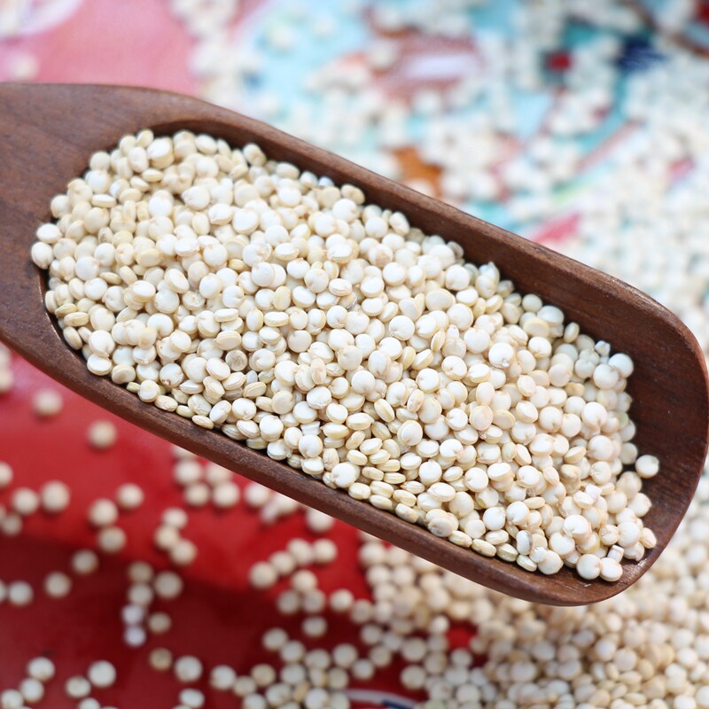 全蛋白谷物杂粮!青海高原白藜麦米黄藜麦婴儿宝宝粗粮藜麦米250g