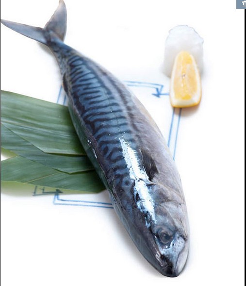 进口挪威青花鱼片 开片鱼日本料理碳烤青花鱼 夏季烧烤食材盐烤鱼