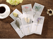 Please dont take a single shot of a real flower greeting card