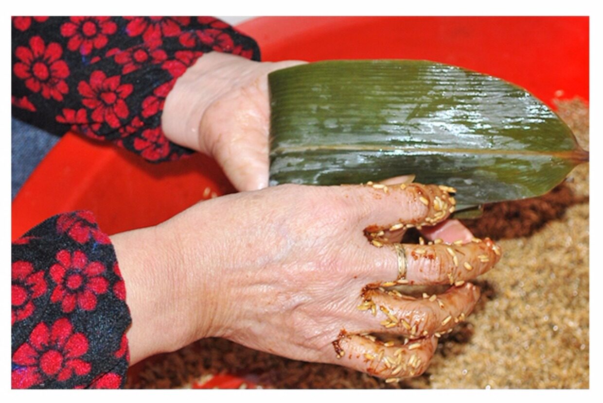 双蛋黄肉粽5个装 上海朱家角手工阿婆粽嘉兴枫泾粽子鲜肉粽包邮_双氙