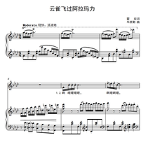 Skylark flies over Allamali-flat A- adjustable F bG G G bA B C D bE E-adjustable