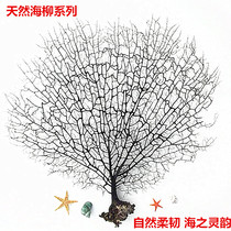 Sea willow tree Iron Tree Red Willow aquarium aquarium fish tank landscaping creative design home decoration wall sticker conch shell