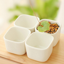 zakka succulent plant flower pot ceramic vase flower Ware white square meat plant container home accessories