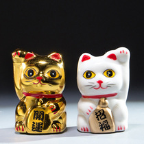 Japanese animal groceries home living room ornaments ceramic lucky cat cute Kaifu decorative crafts gift