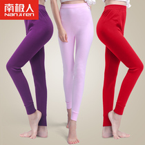 Antarctica 3-piece long pants women's pure cotton thermal pants simple solid color fashion leggings autumn winter cotton pants