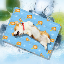 Pet ice pad spot summer cat pad cool mat mat bite-resistant cool mat kennel mat sleeping pad dog ice pad