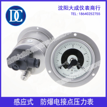 (Daseng) Stainless steel electric contact seismic electric contact pressure gauge explosion-proof induction type electric contact pressure gauge