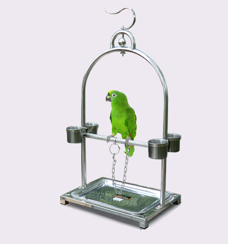特价不锈钢鹦鹉站架鸟笼鸟架子灰鹦鹉和尚小绯亚力山大挂式鹦鹉架