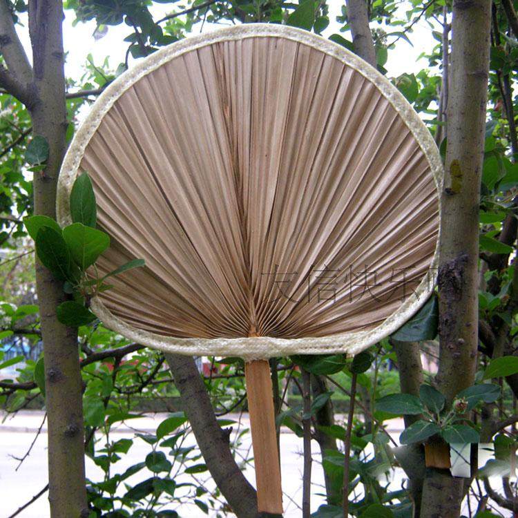 包邮棕叶蒲扇芭蕉扇纯手工大小蒲扇团扇扇子手工蒲草编蒲扇