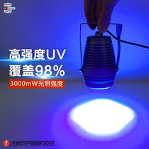 UV point light source High-intensity UV curing lamp shadowless adhesive bonding ink Green oil gauge dry optical test 10w