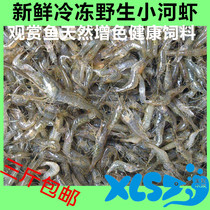 Fresh frozen river shrimp wild small river shrimp fish food black shell shrimp freshwater shrimp dragon fish Tiger turtle color feed