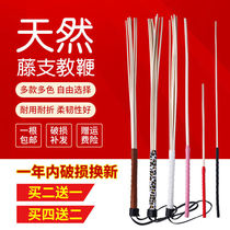 Rattan coach teacher female special home training bamboo whip family training rattan whip explanation baton teacher teaching stick